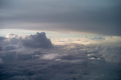 Afrique I, photograph 19 of 26