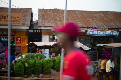 Afrique I, photograph 9 of 26
