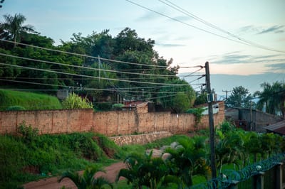 Afrique I, photograph 12 of 26