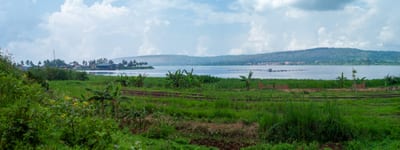 Afrique I, photograph 15 of 26