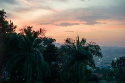 Afrique I — cover photograph