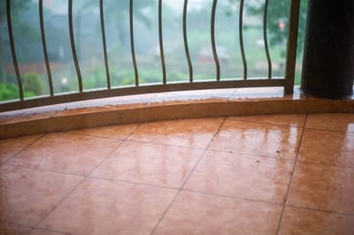 Afrique II, photograph 4 of 38