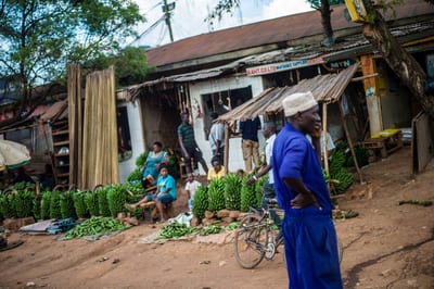 Afrique II, photograph 10 of 38