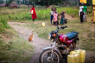Afrique II, photograph 34 of 38
