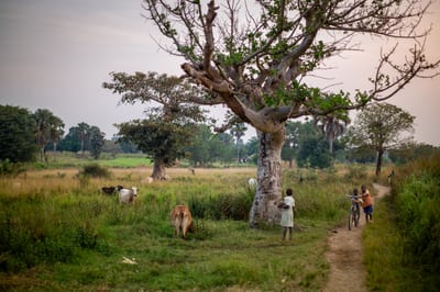 Afrique II, photograph 35 of 38