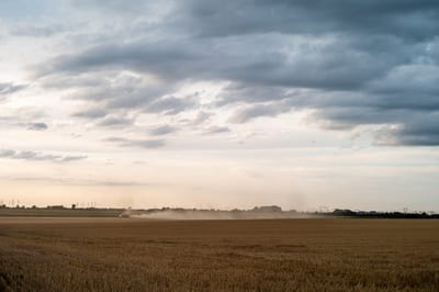 Autour II, photograph 15 of 32