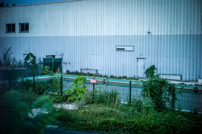 Autour II, photograph 19 of 32