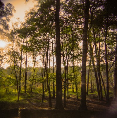Holga, photograph 9 of 19