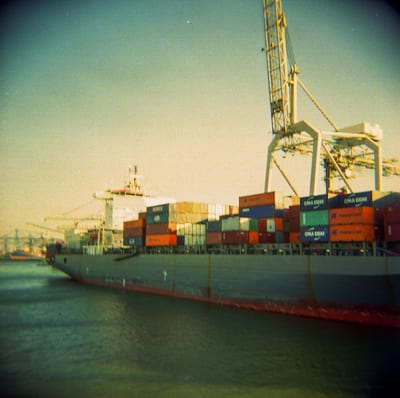 Holga, photograph 16 of 19