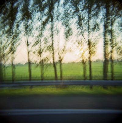 Holga, photograph 19 of 19