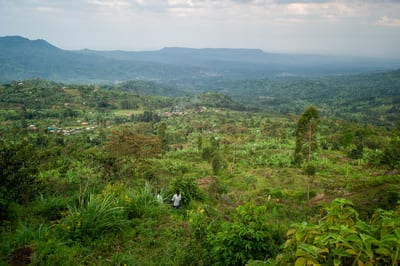 Mount Elgon, photograph 2 of 27