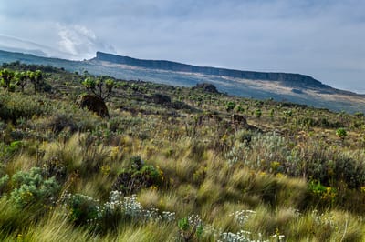 Mount Elgon, photograph 7 of 27