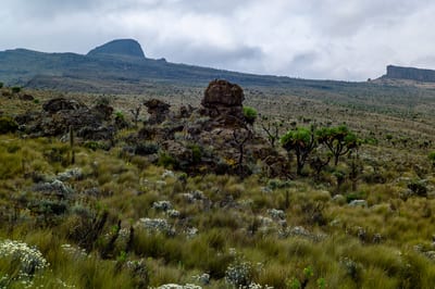 Mount Elgon, photograph 8 of 27