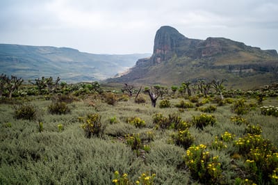 Mount Elgon, photograph 11 of 27