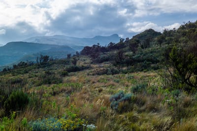 Mount Elgon, photograph 19 of 27