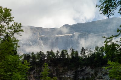 Nature II, photograph 10 of 33