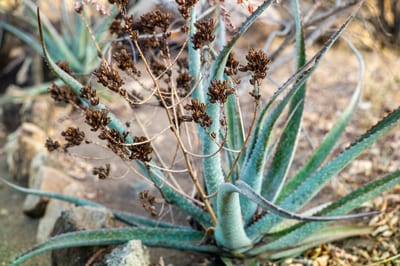 Nature III, photograph 18 of 25