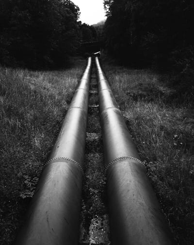 Stills I, photograph 8 of 15